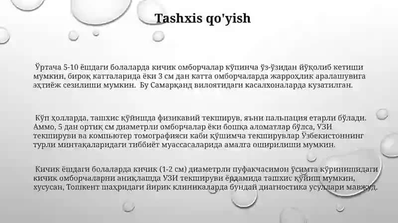 Kindik tizimichasi churrasi 3