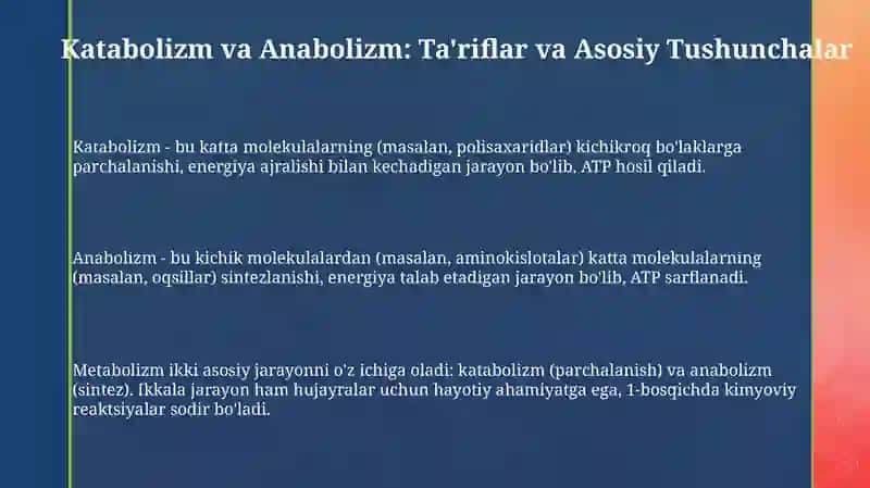 Katabolizm va Anabolizm 3