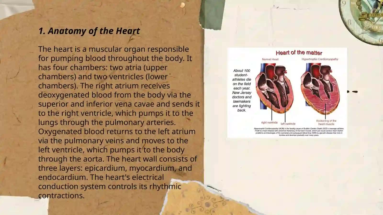 Structure and functions of the heart, symptoms and treatment methods of cardiomyopathy 3