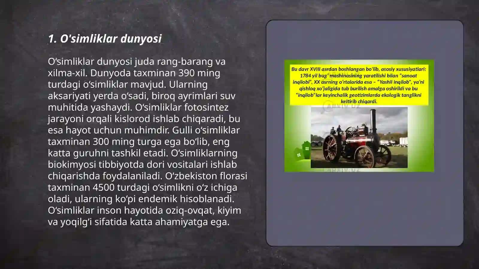 O'simliklar dunyosi 3
