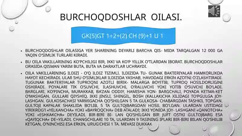 Burchoqdoshlar oilasining umumiy tasnifi 3