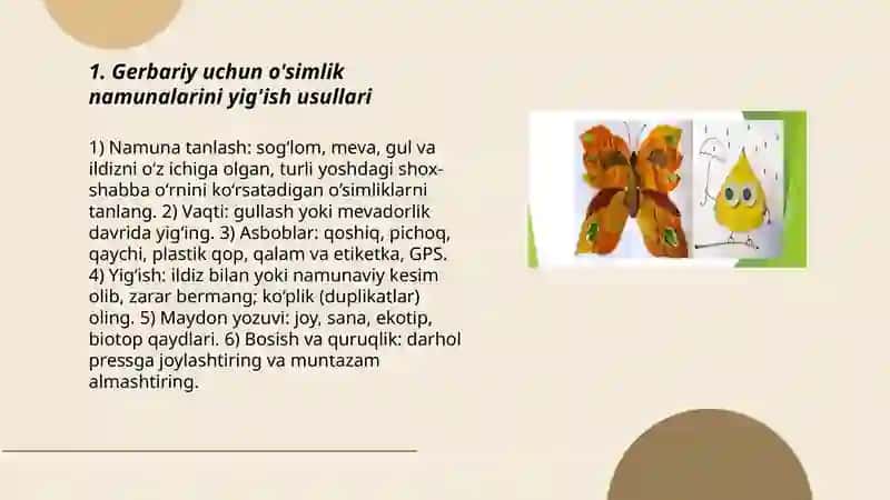 O'simliklardan gerbariy tayyorlash 3