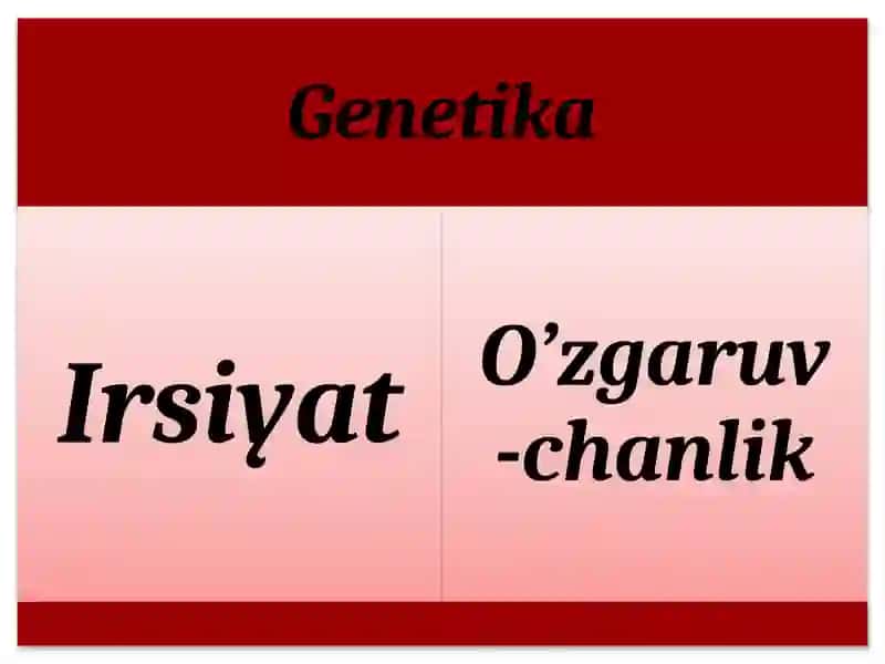 Mendel qonunlari 3