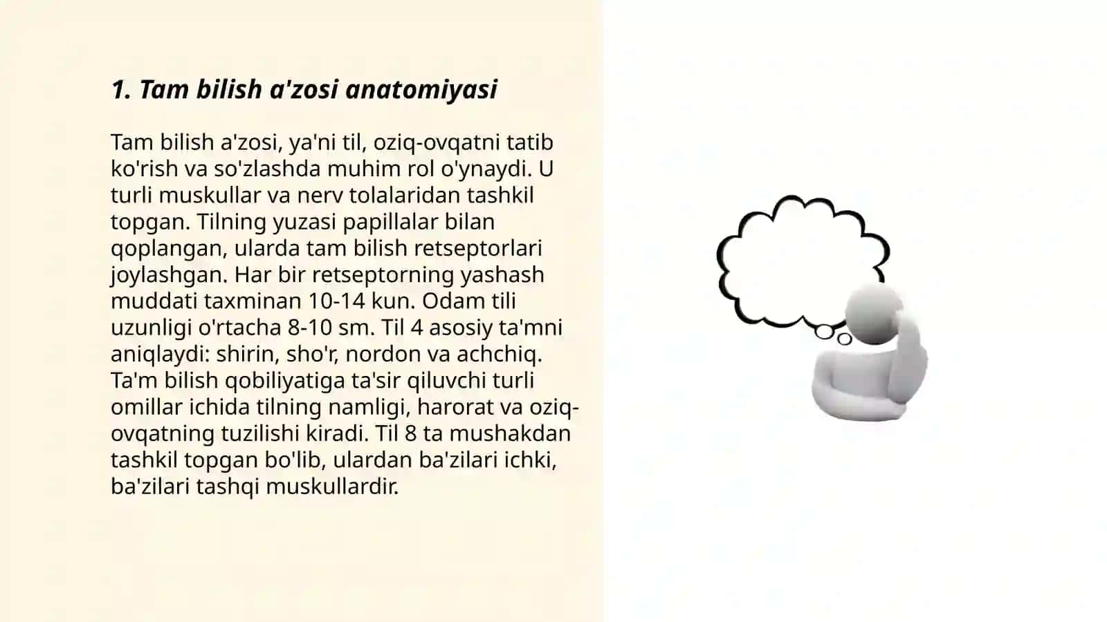 Tam bilish a'zosi anatomiyasi 3