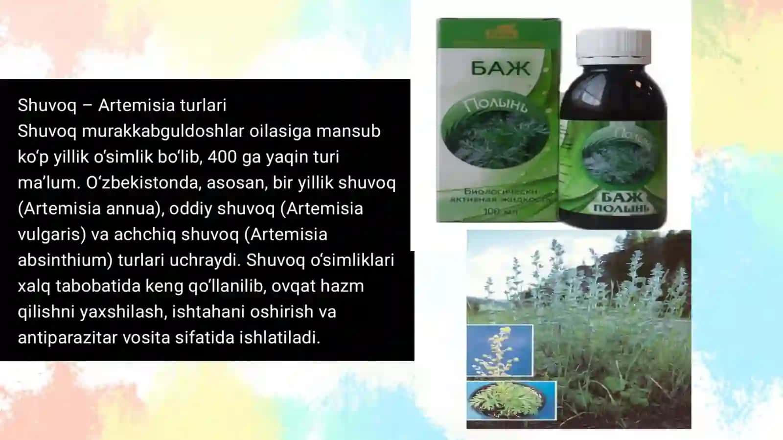 Qoqioʻtdoshlar va Jiydadoshlar oilalari 3