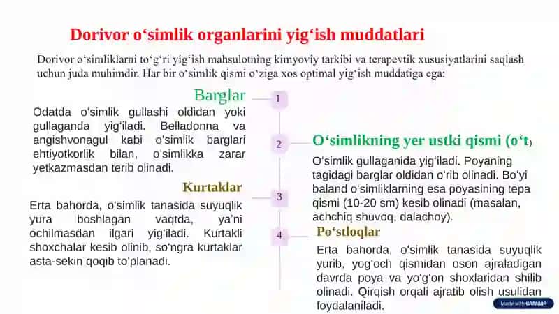 Dorivor o'simliklarning mahsulotlarini tayyorlash 3