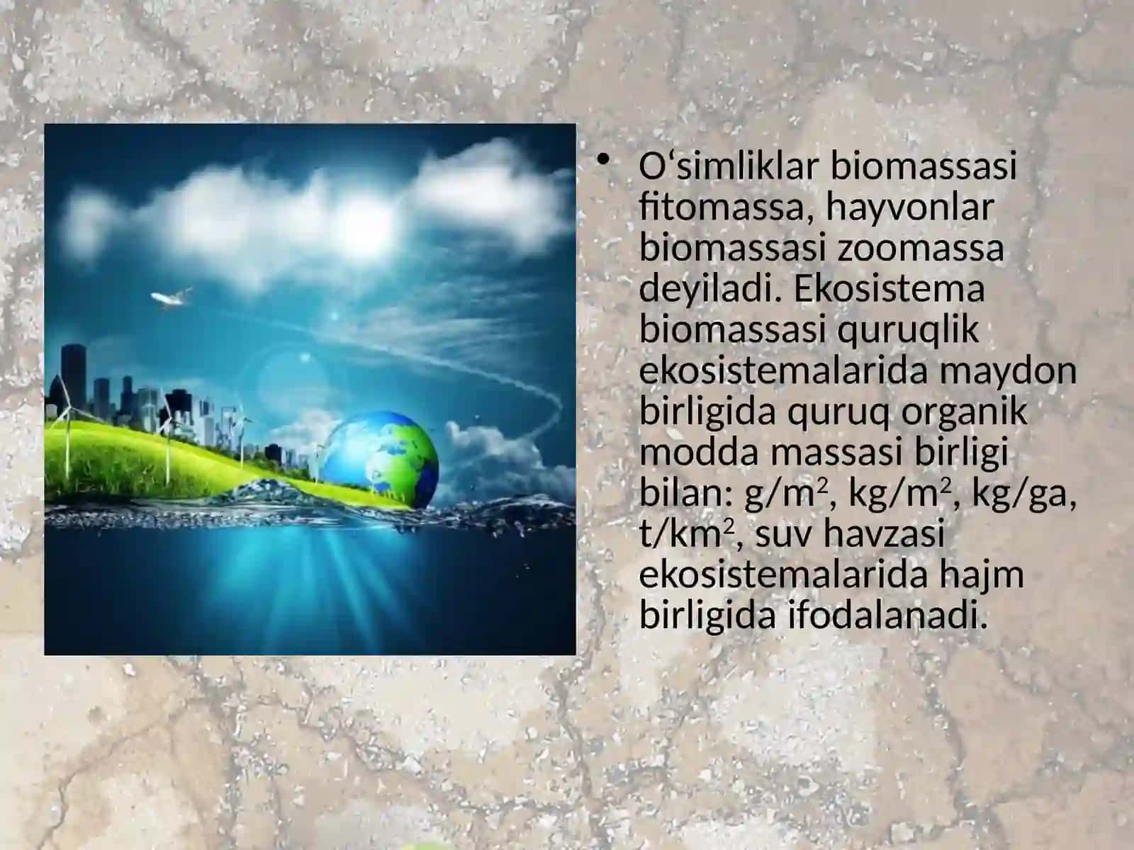 Ekotizimlarning mahsuldorligi 3