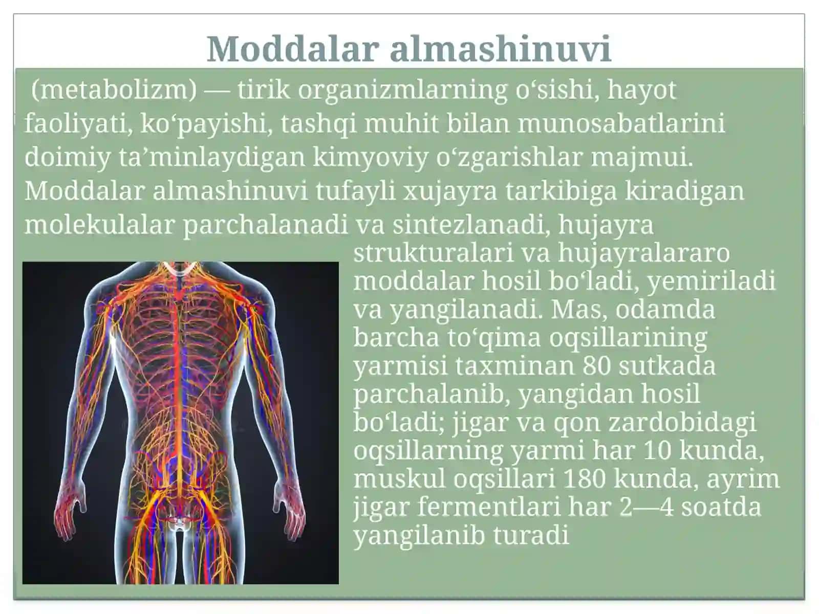 Moddalar alamshinuvi 3