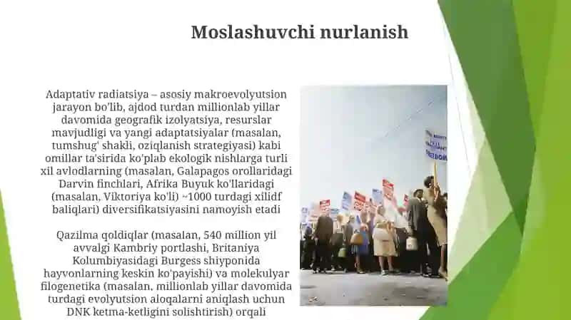 Makroevolyutsiya va hayot tarixi 3