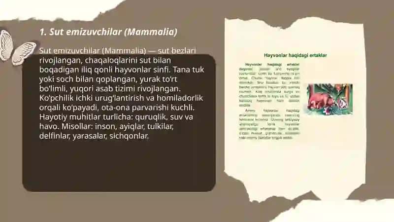 Sut emizuvchilar (Mammalia) 3