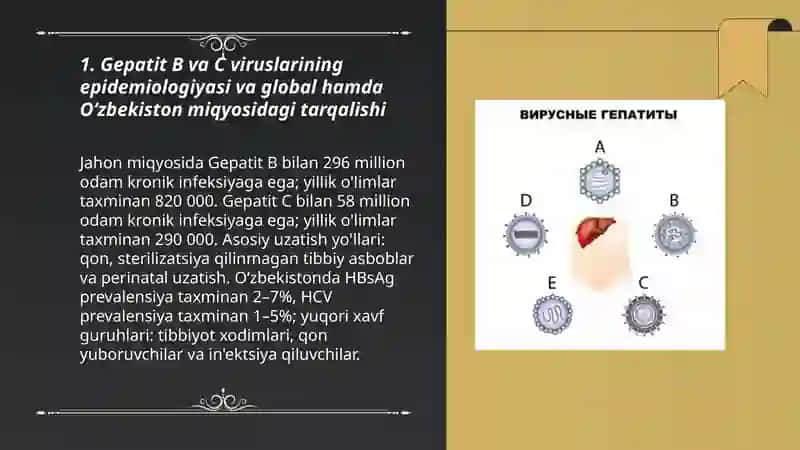 Gepatit B va C viruslari 3