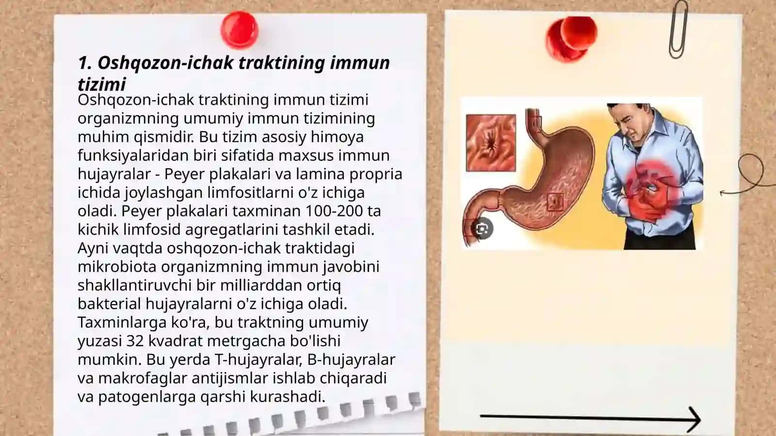 Oshqazon ichak traktining immunopatologiyasi 3