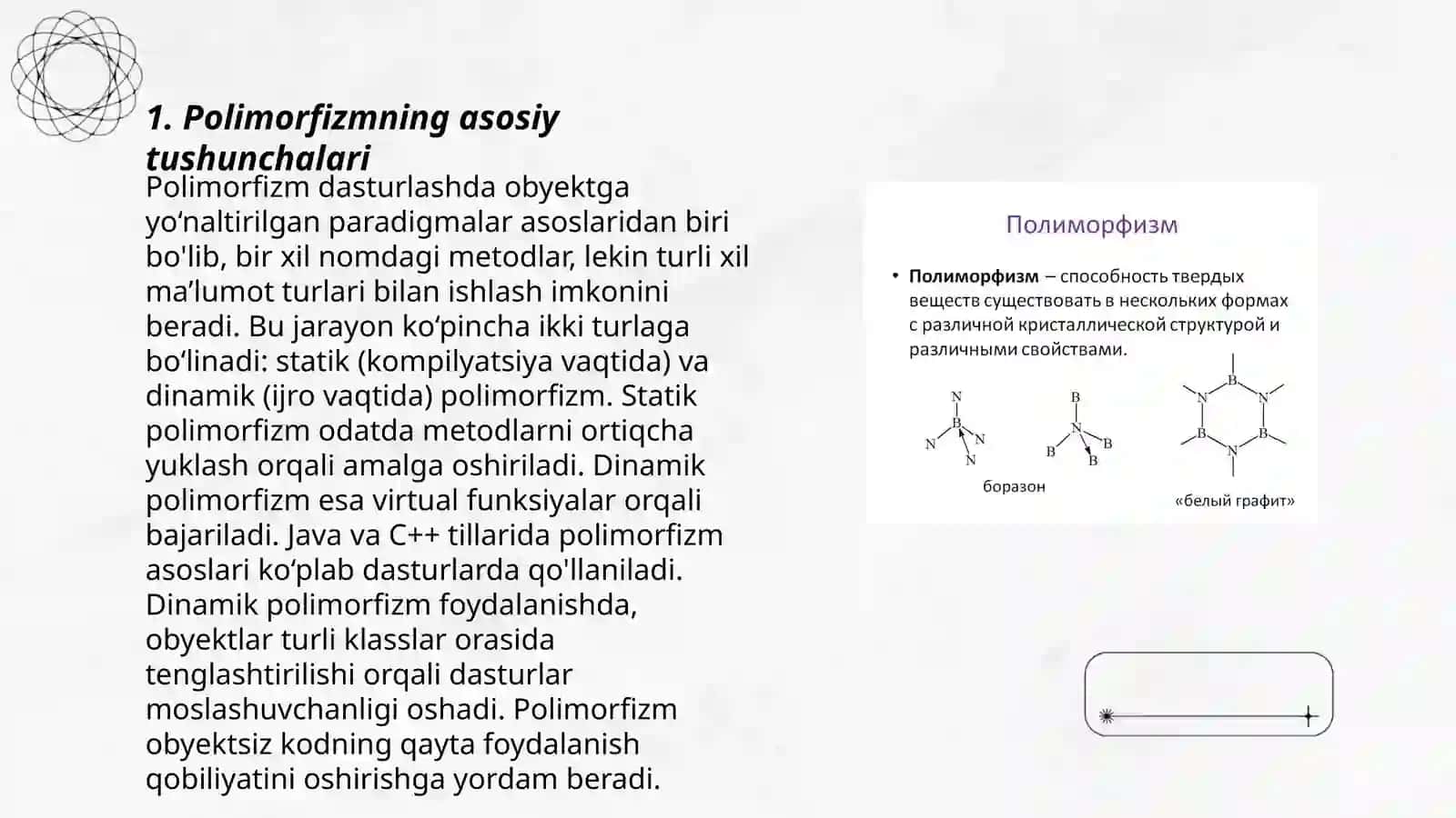 Phytonda Polimorfizm 3