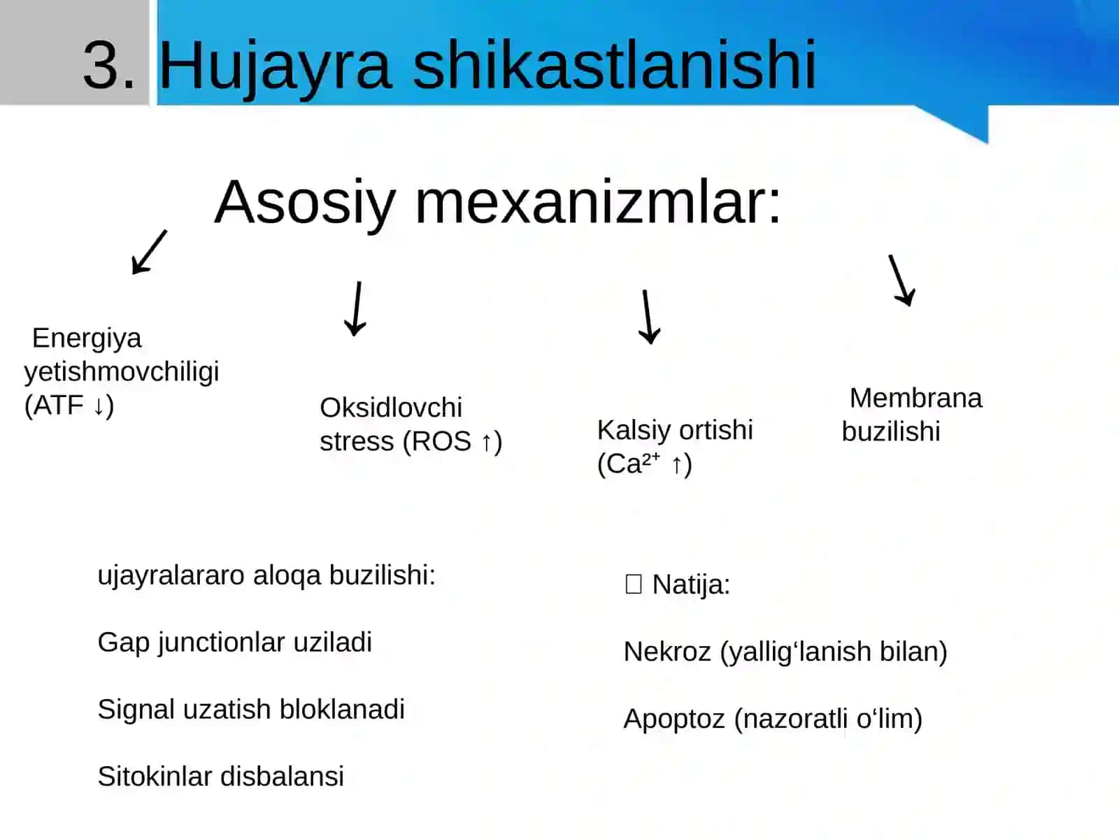 Patalogik fiziologiyadan organeyzer 3