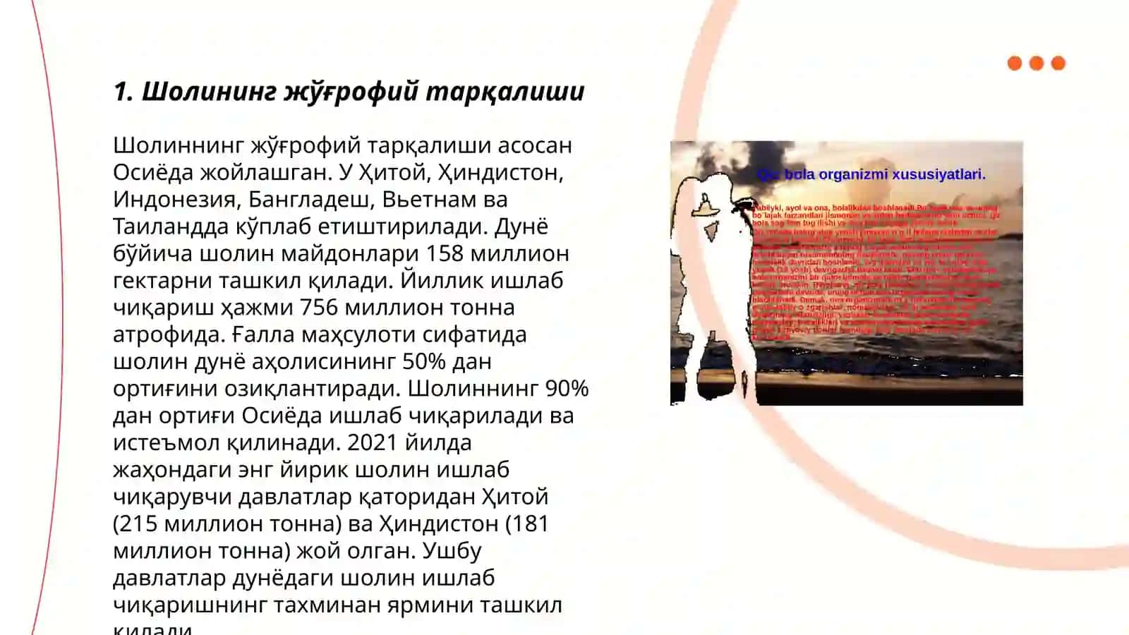 Sholi morfologik xususiyatlari 3