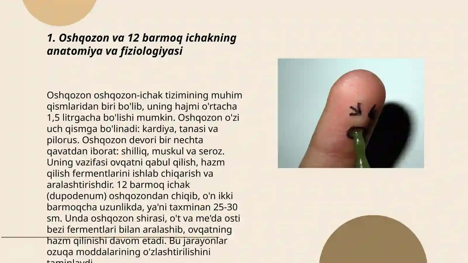 Oshqozon 12 barmoq kasalligida xamshira parvarishi 3
