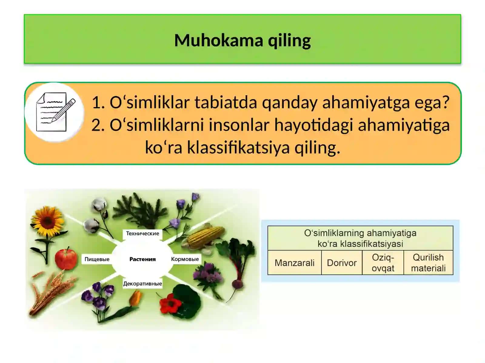 MAVZU.O‘SIMLIKLAR DUNYOSI 3