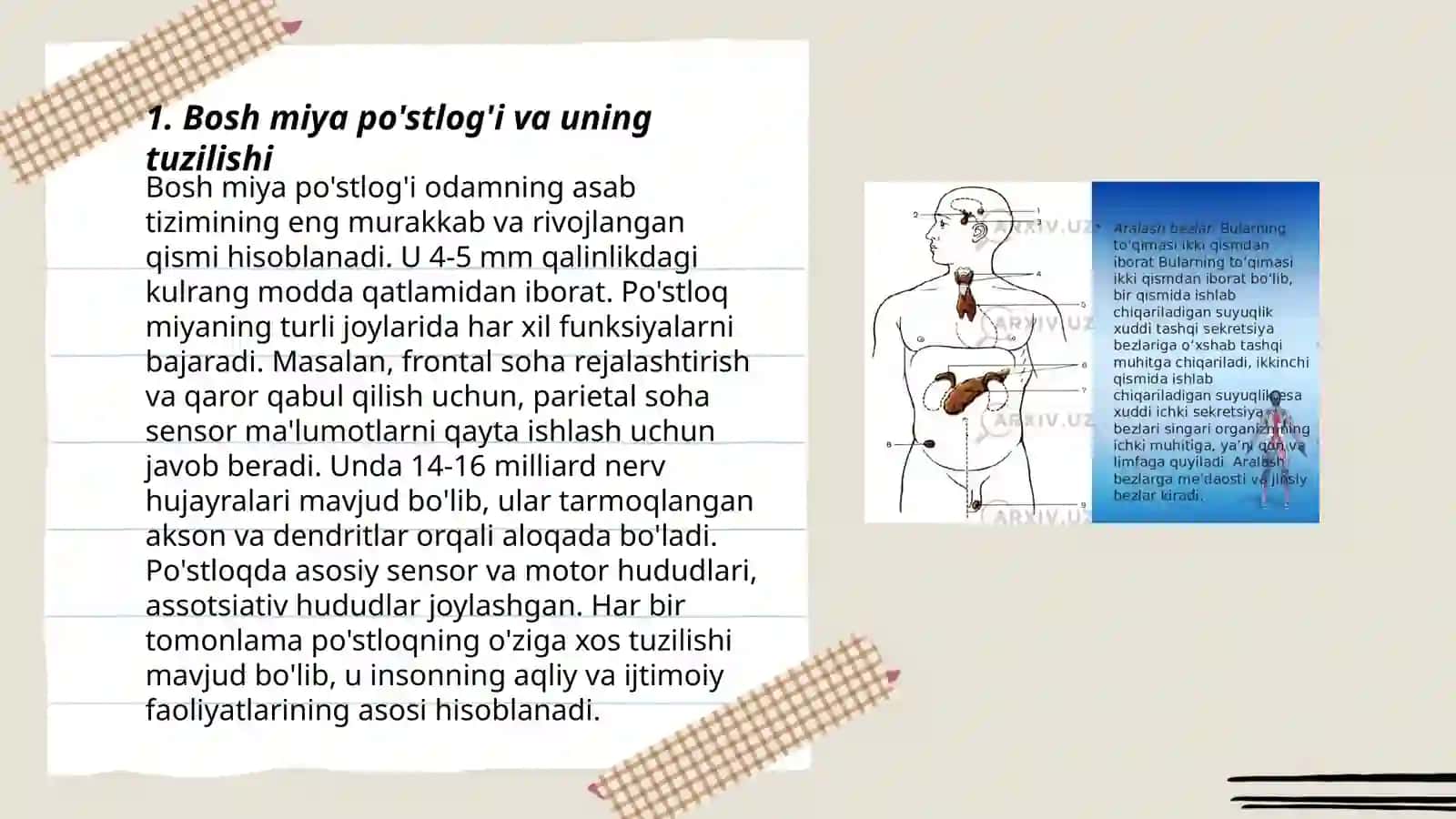 Bosh miya po'stlog'ida harakat marazlarining rivojlanishi 3