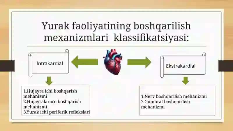 Yurak faoliyatining boshqarilishi 3