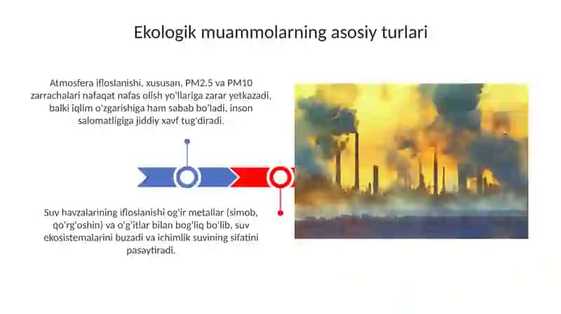 Ekologik muammolar 3