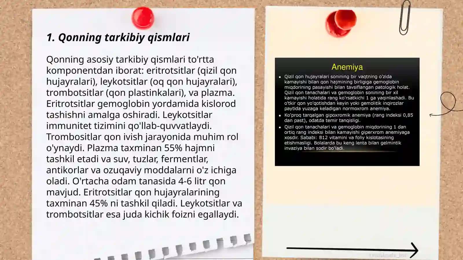 Yaradorlarda qon kasalliklari 3