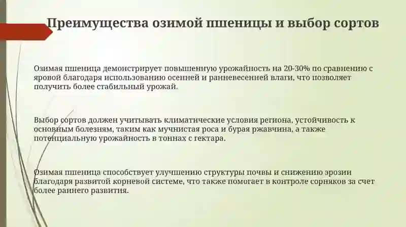 Технология выращивания осенней пшеницы 3
