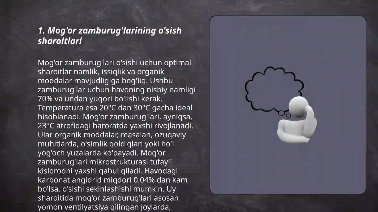 Mog'or zamburug'lari va achitqilar 3