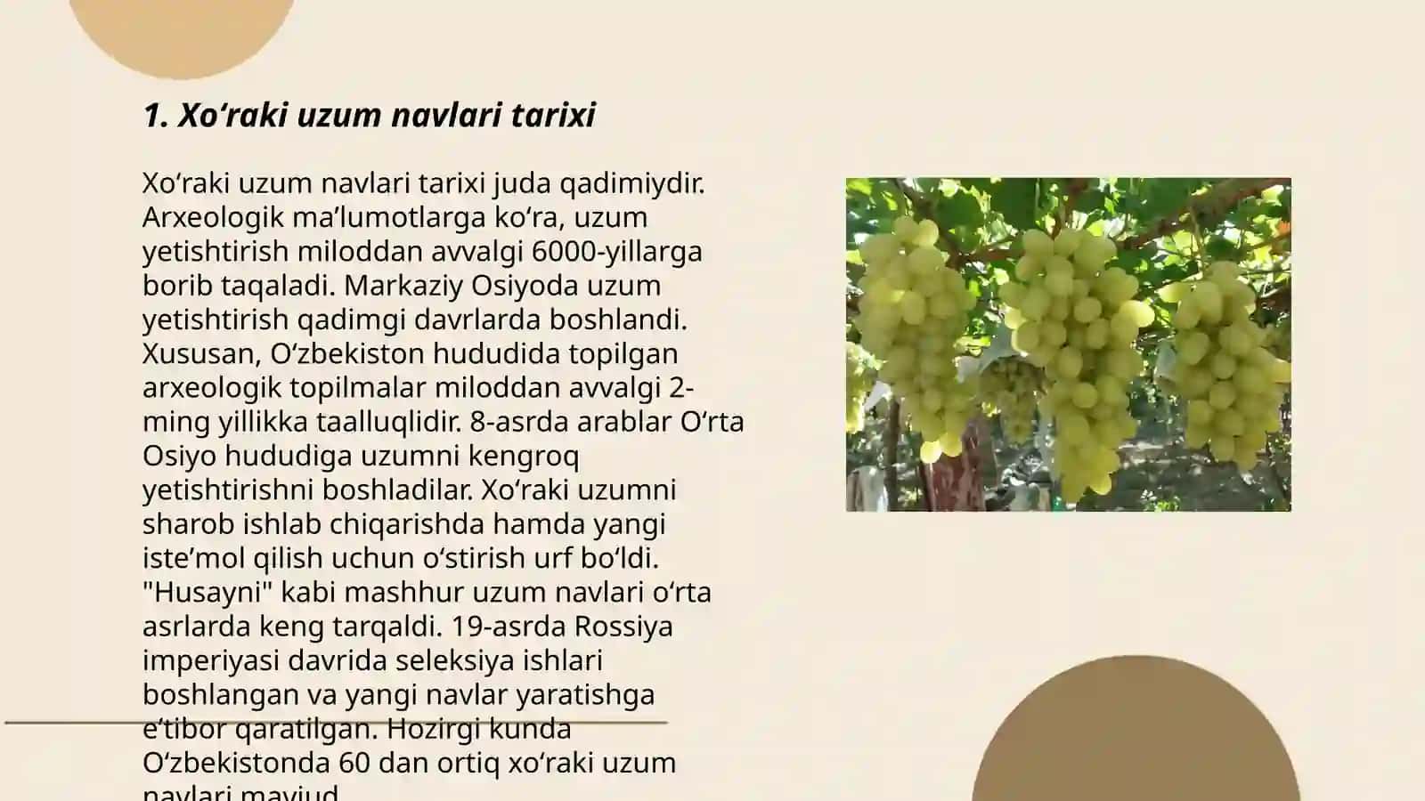 Xoʻraki uzum navlariga tavsif bering 3