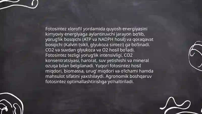 Fotosintez jarayoni va uning hosilga ta'siri 3