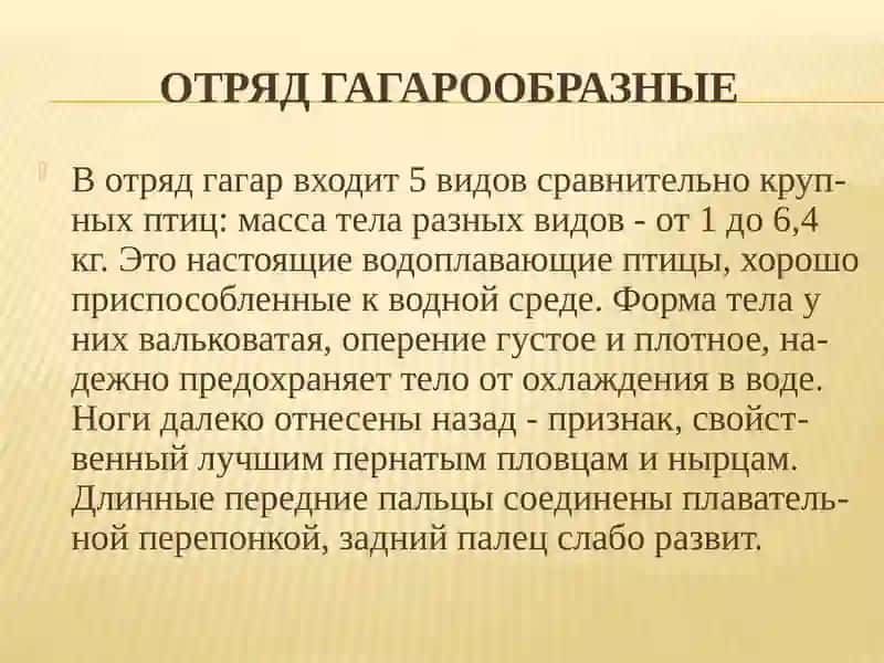 Систематика птиц 3