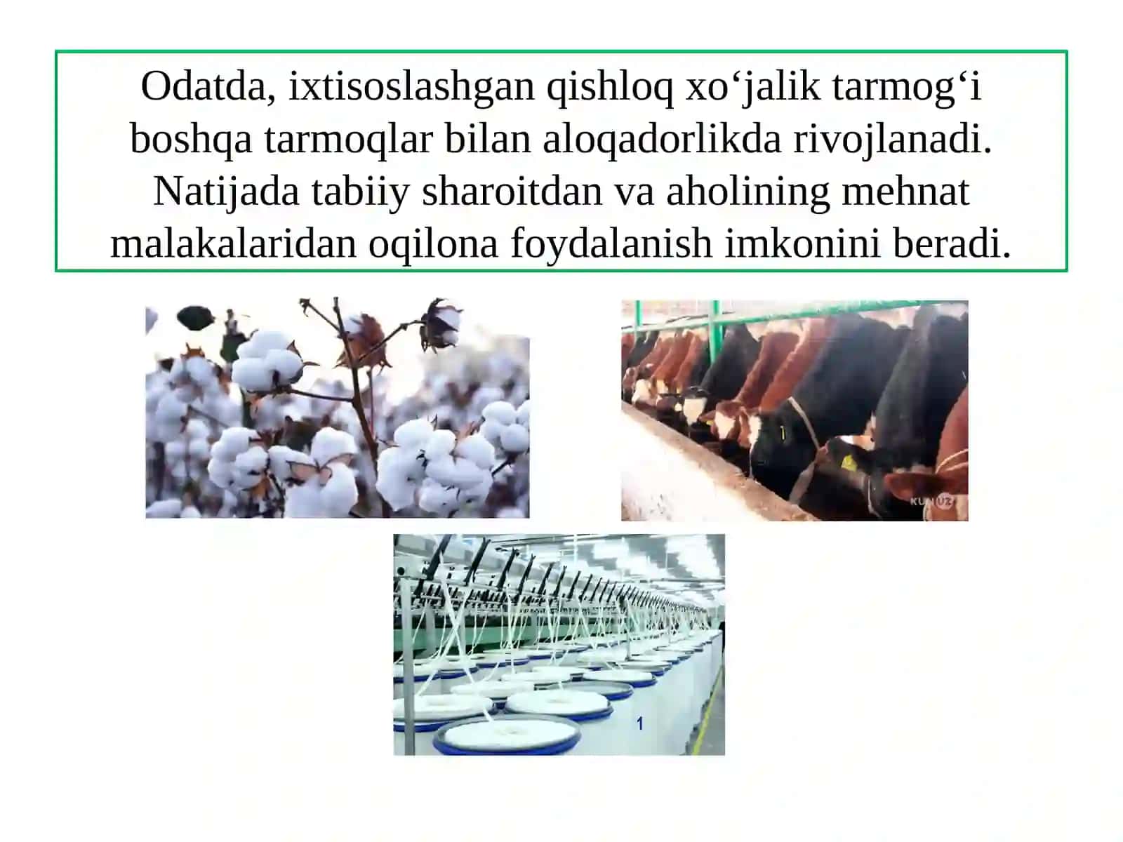 O‘ZBЕKISTОNDА QISHLОQ ХO‘JАLIGINING GЕОGRАFIK TIPLАRI 3