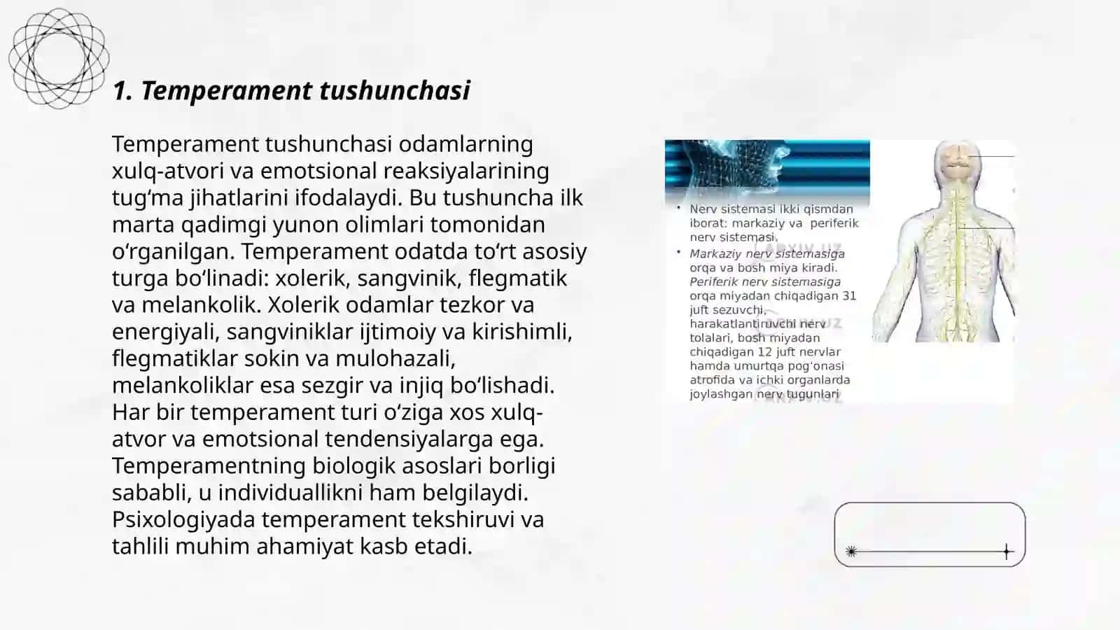 Temperament. Nerv sistemasing tiplarini kelib chiqishi 3