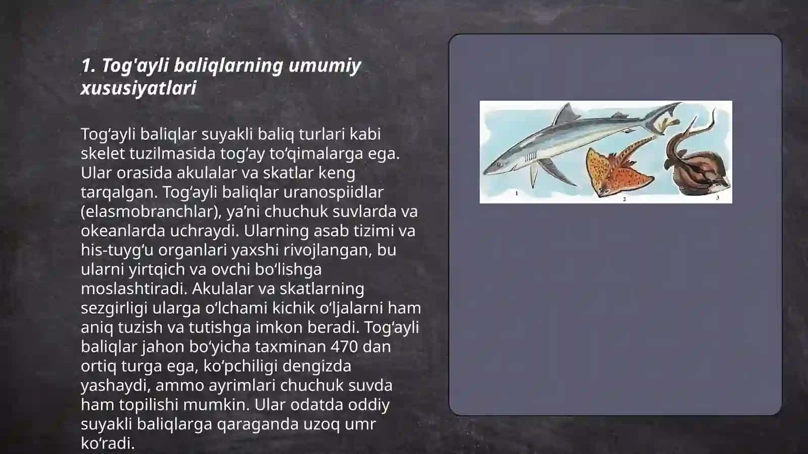 Tog'ayli baliqlar sinfining sistematikasi 3