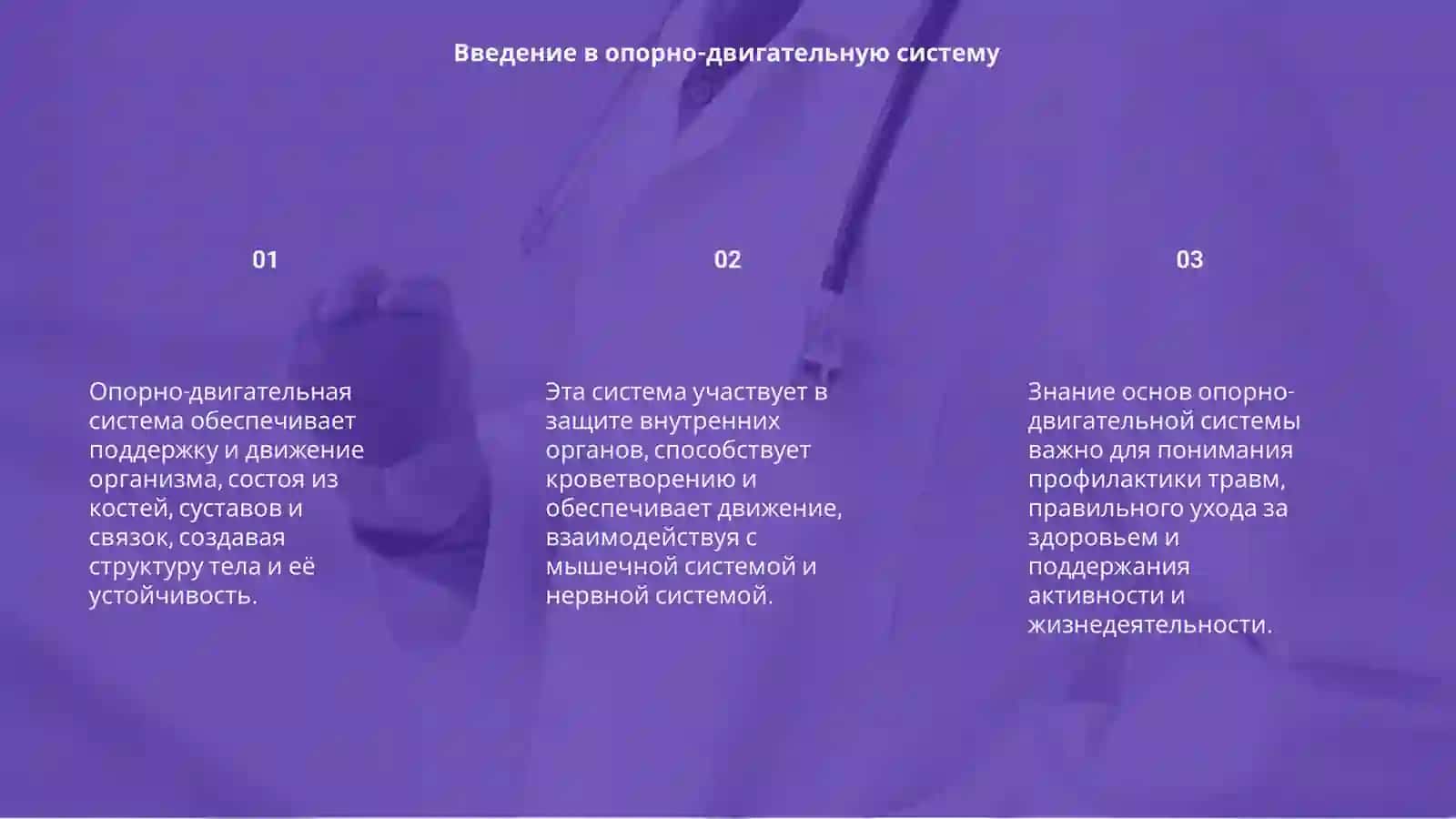 Опорно-двигательная система 3