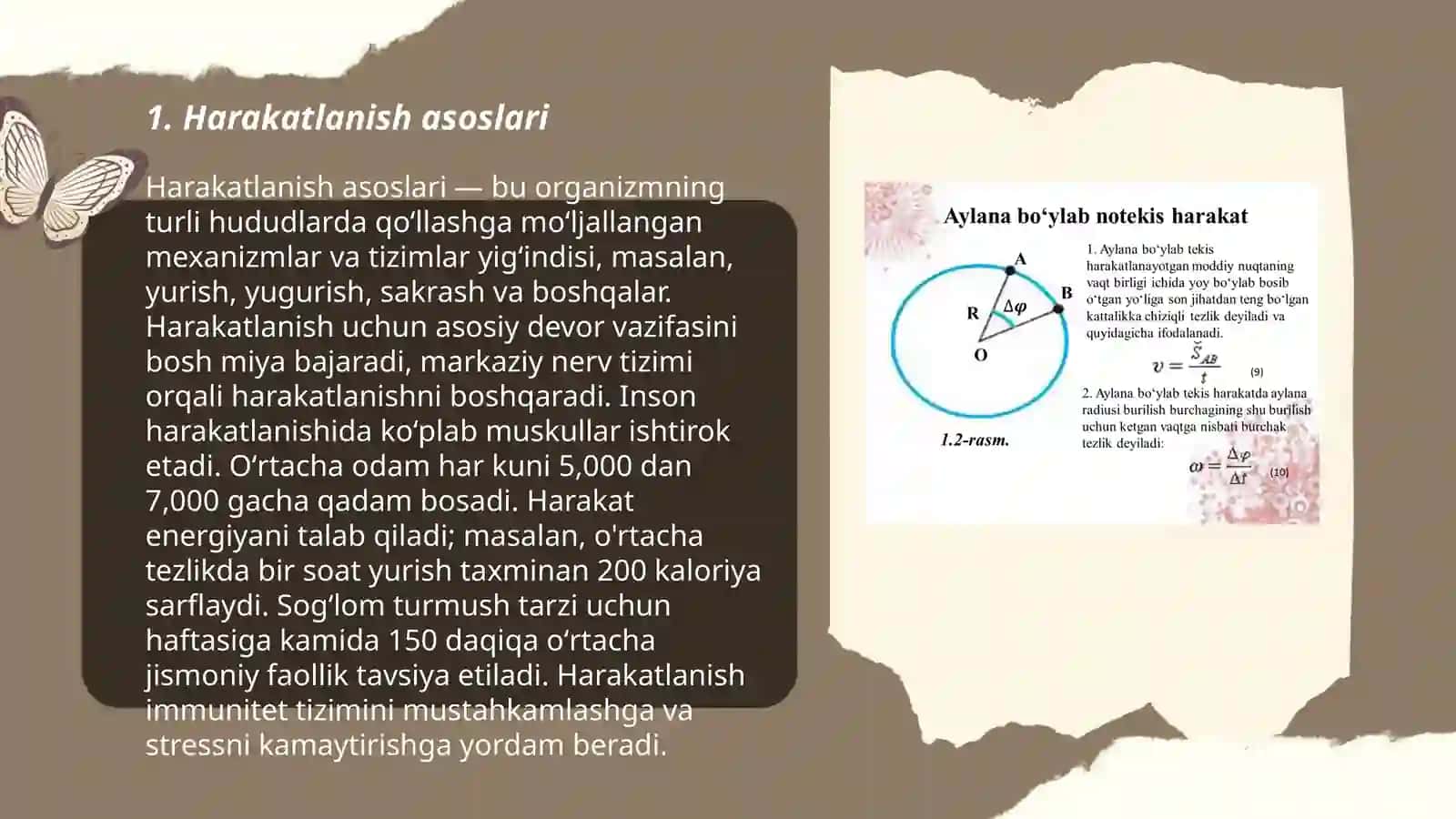 Harakat malakalarini shakllantirish jarayoni 3