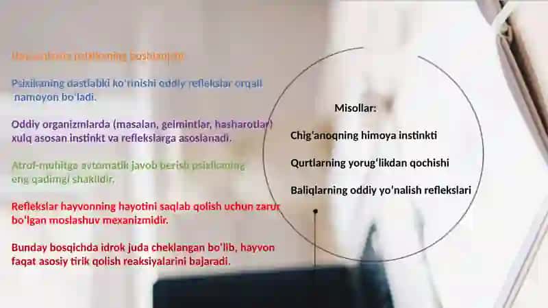 Psixikaning filogenetik taraqqiyoti 3