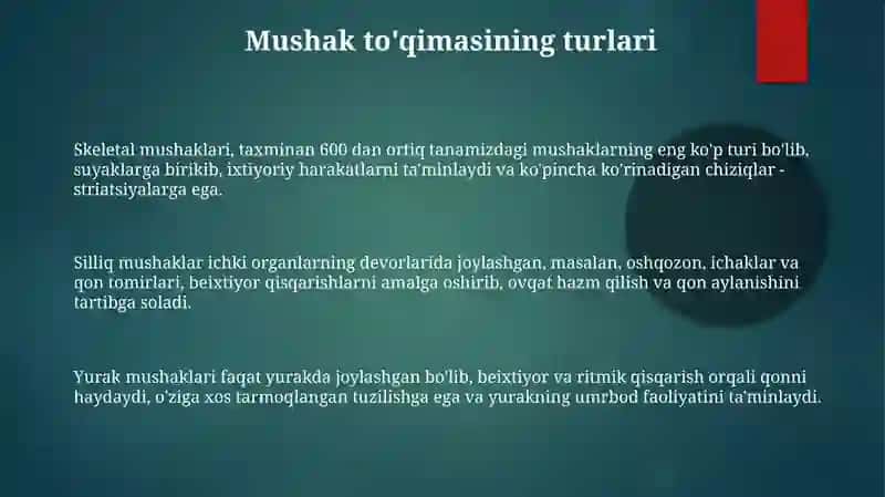 Mushakto‘qimasi 3