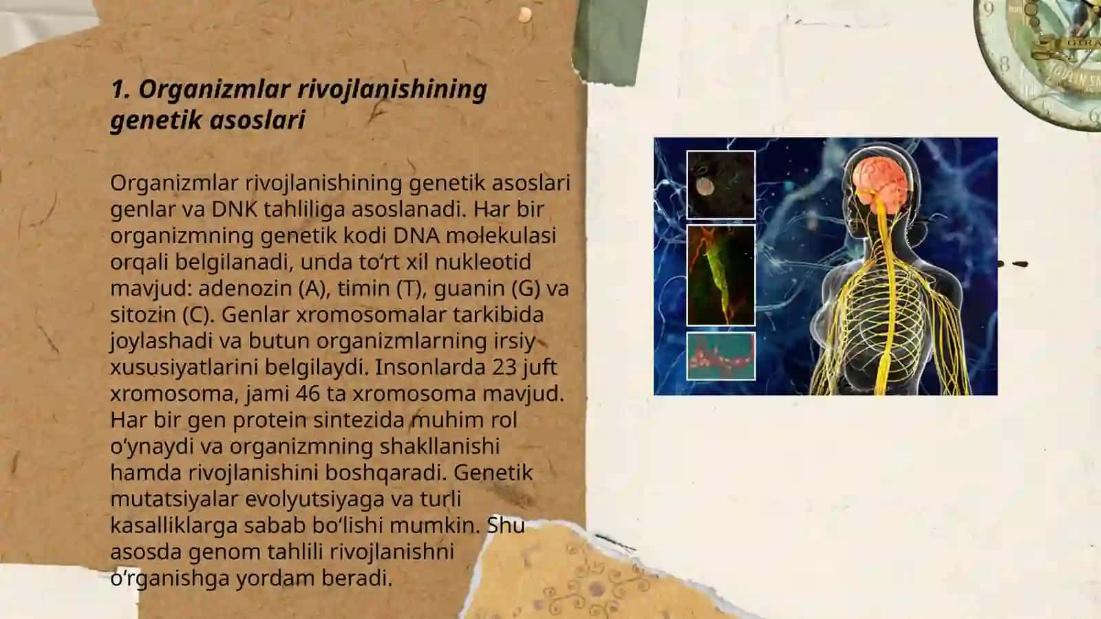 Organizm rivojlanishi va muhit 3