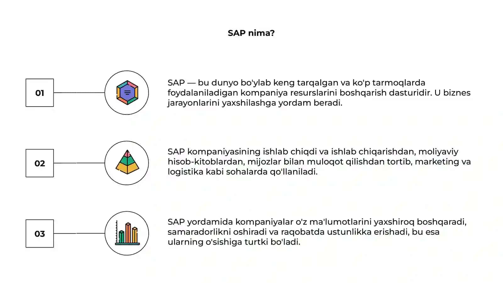 SAP 3