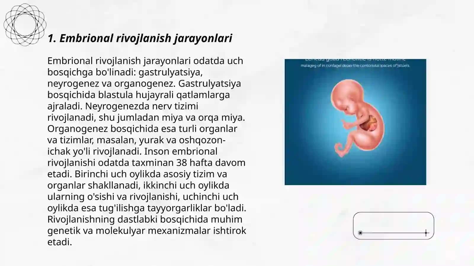 Odam embriologiyasi asoslari 3
