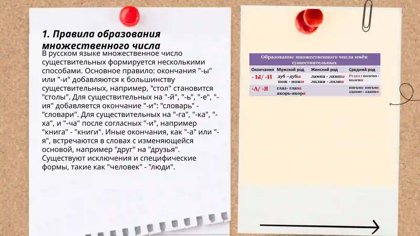 Множественное число имен существительных 3