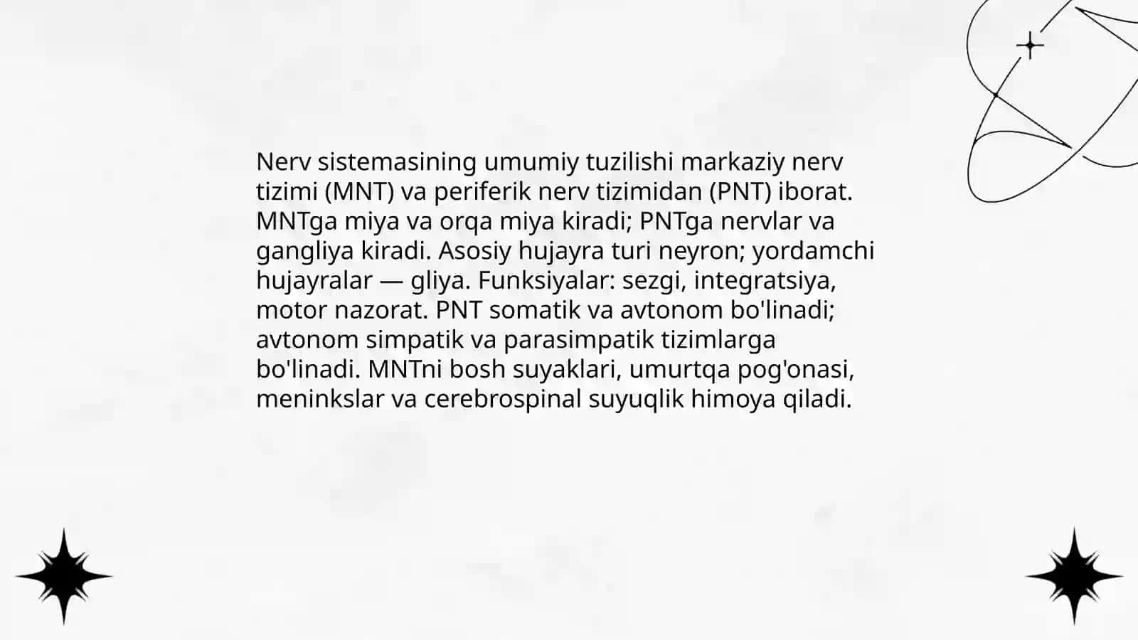 Nerv sistemasining tuzuliwi 3