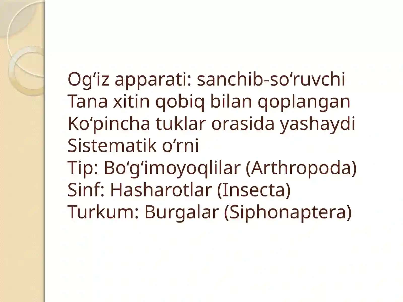 BURGALAR TURKUMI 3