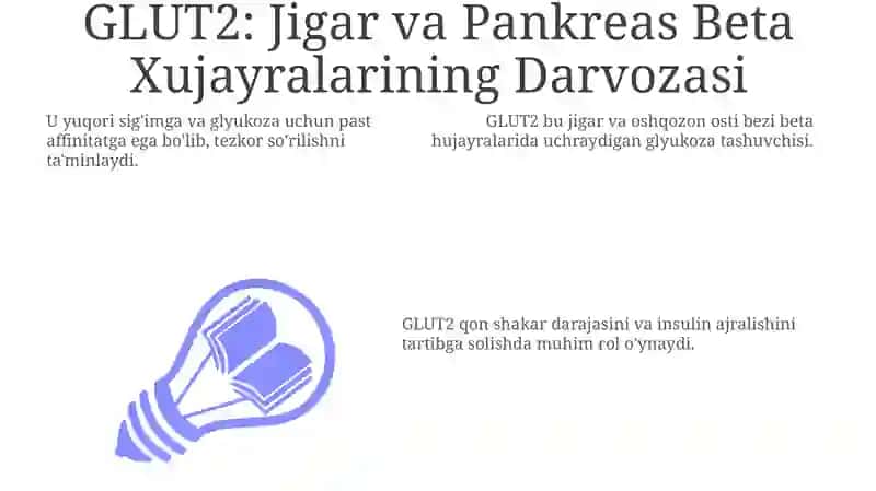 Glyukoza tashuvchilari 3
