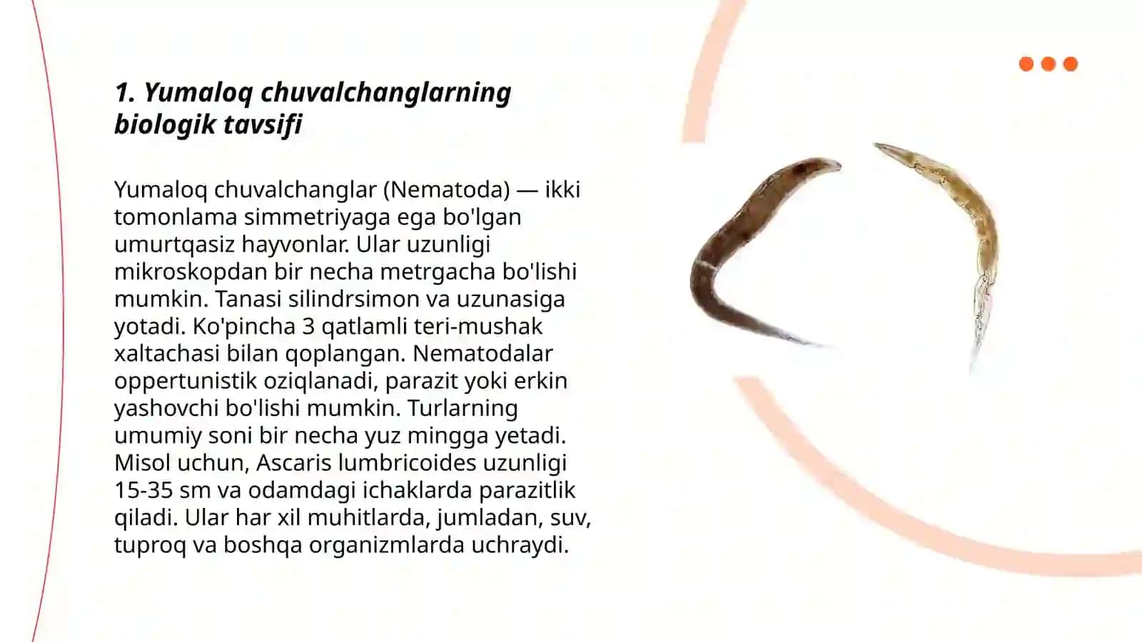Yumaloq chuvalchanglar 3
