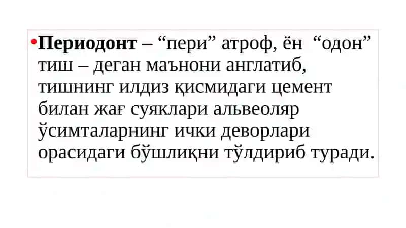 Периодонт 3