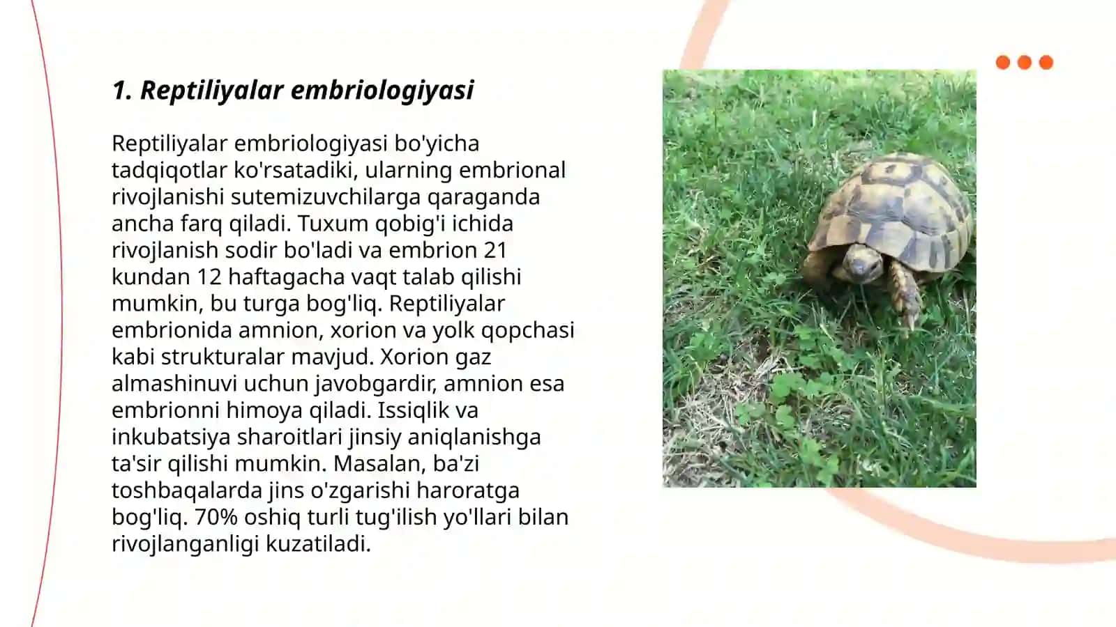 Reptiliyalarning individual rivojlanish xususiyatlari 3