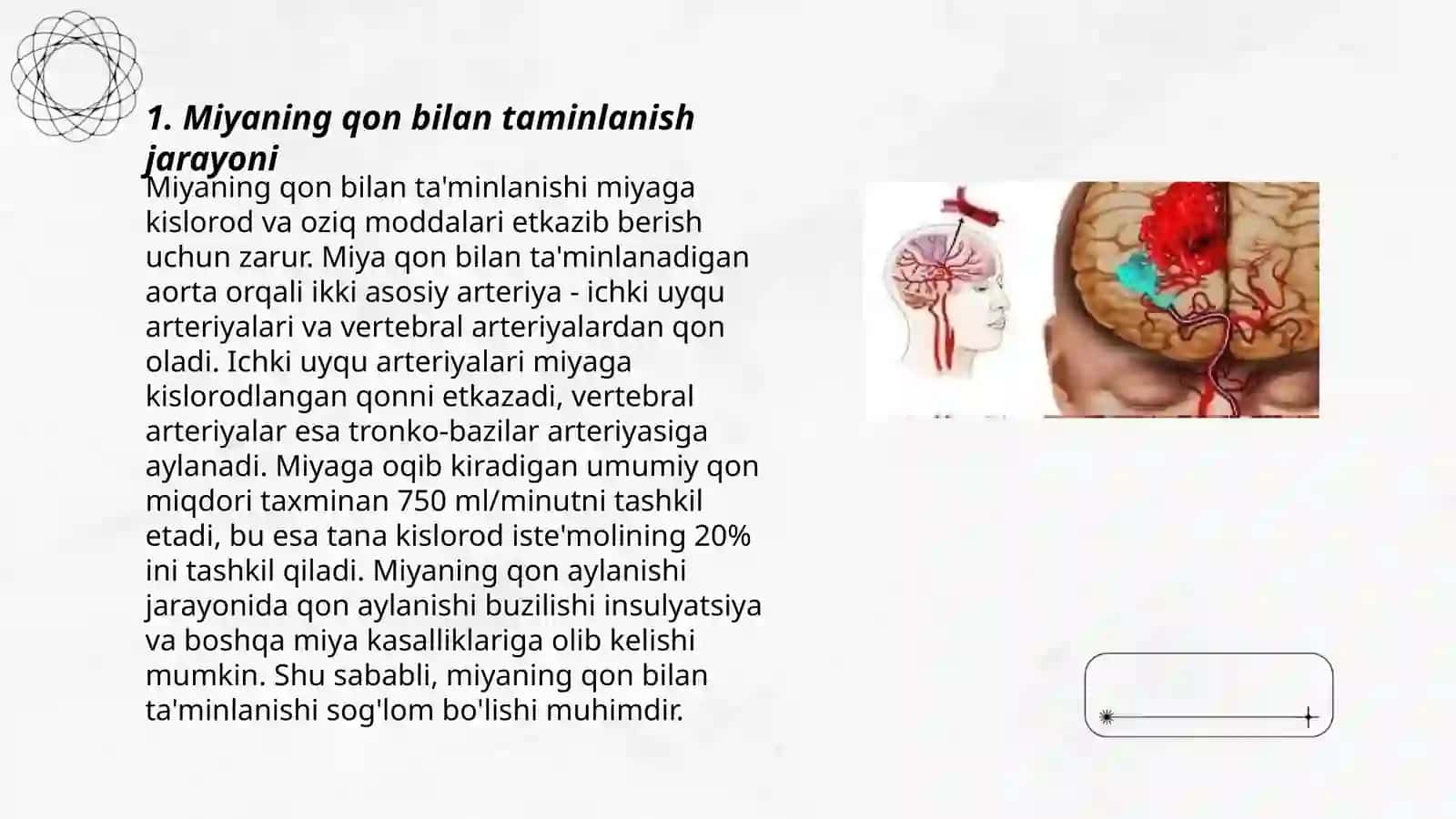 Miyaning qon bilan taminlanishi 3