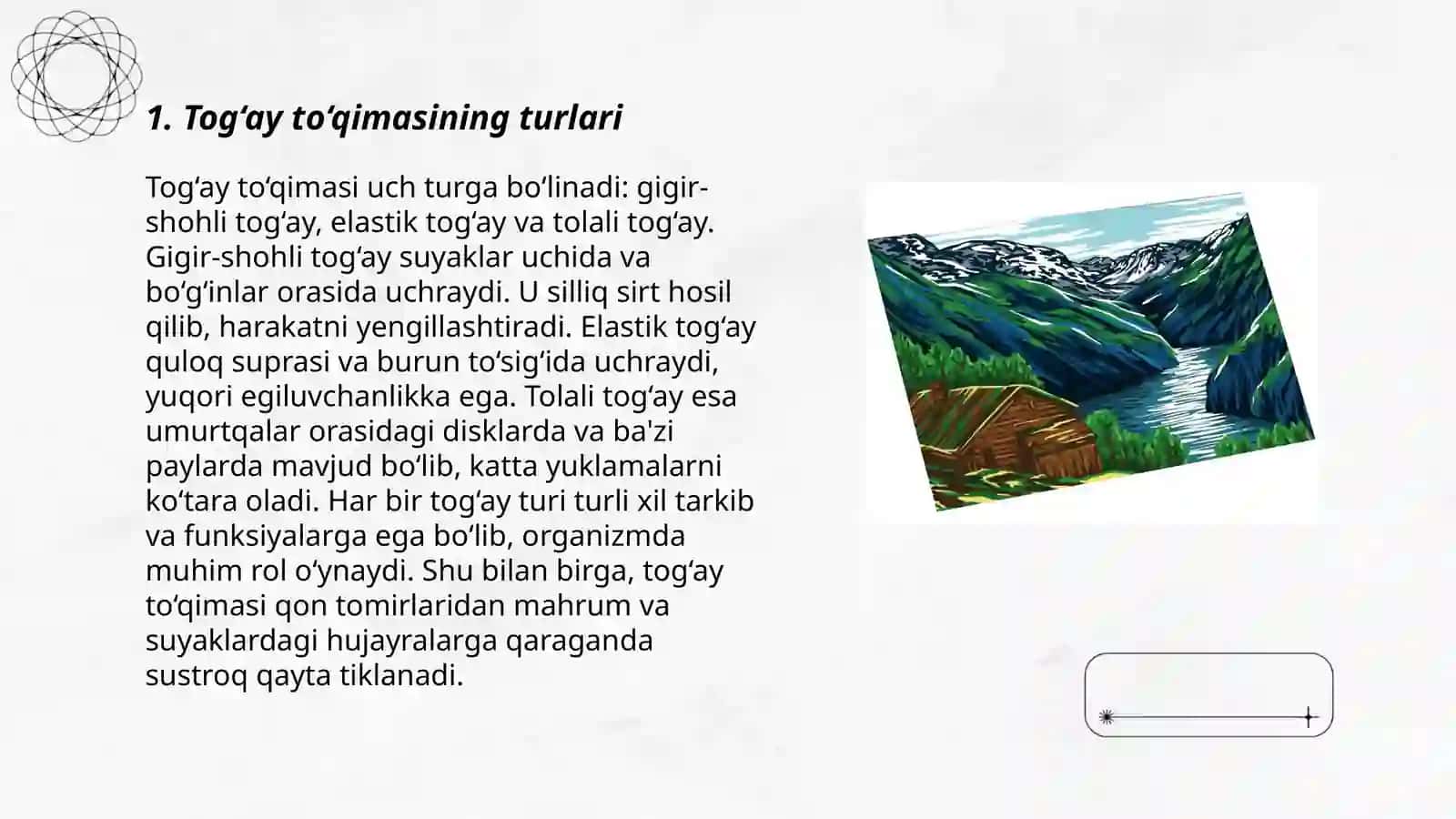 Tog‘ay to‘qimasi 3