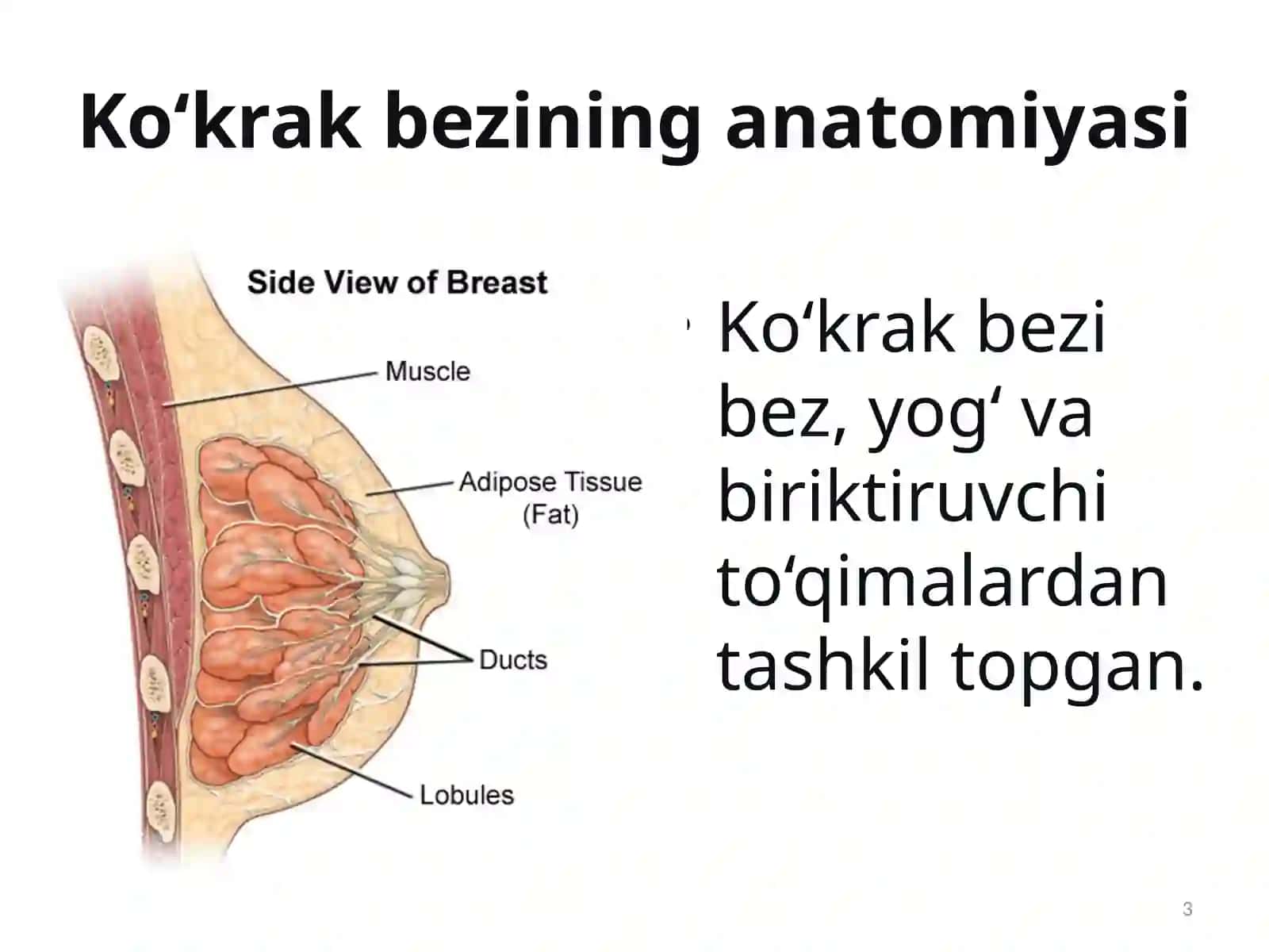Ko‘krak bezi saratoni 3